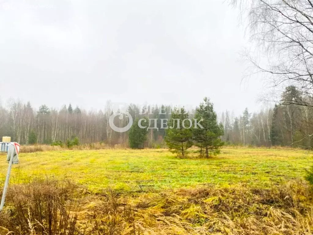 Участок в Владимирская область, Гусь-Хрустальный муниципальный округ, ... - Фото 2