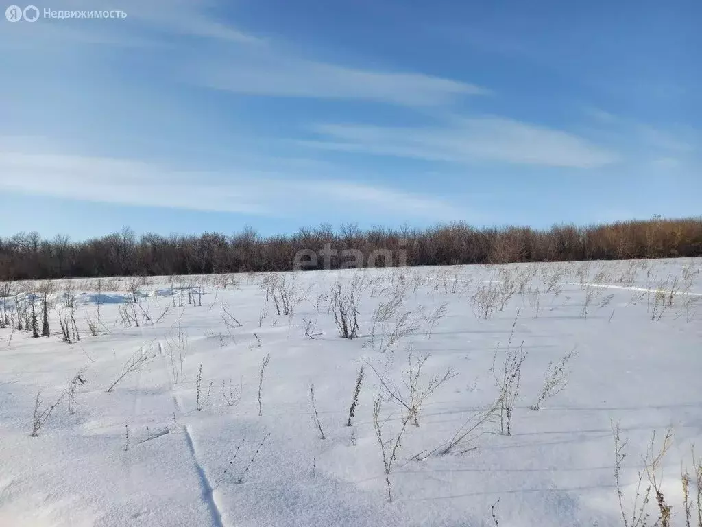 Участок в Стерлитамакский район, Казадаевский сельсовет, деревня ... - Фото 0