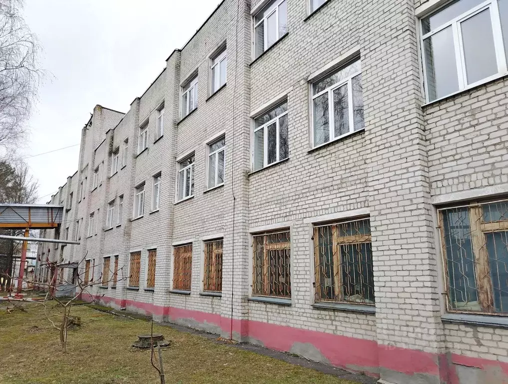 Склад в Брянская область, Брянск ул. Абашева, 19 (12000 м) - Фото 1