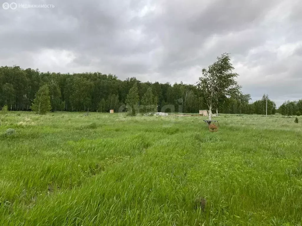 Участок в село Колесниково, Придорожная улица (94 м) - Фото 2