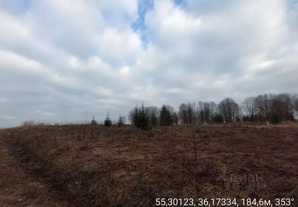 Участок в Московская область, Наро-Фоминский городской округ, д. ... - Фото 1