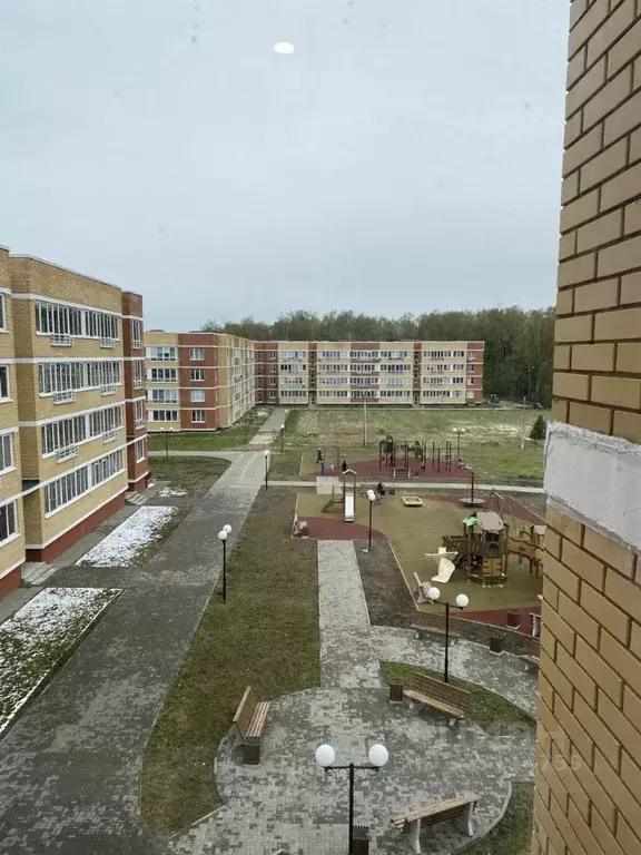 1-к кв. Московская область, Истра муниципальный округ, д. Высоково ... - Фото 1