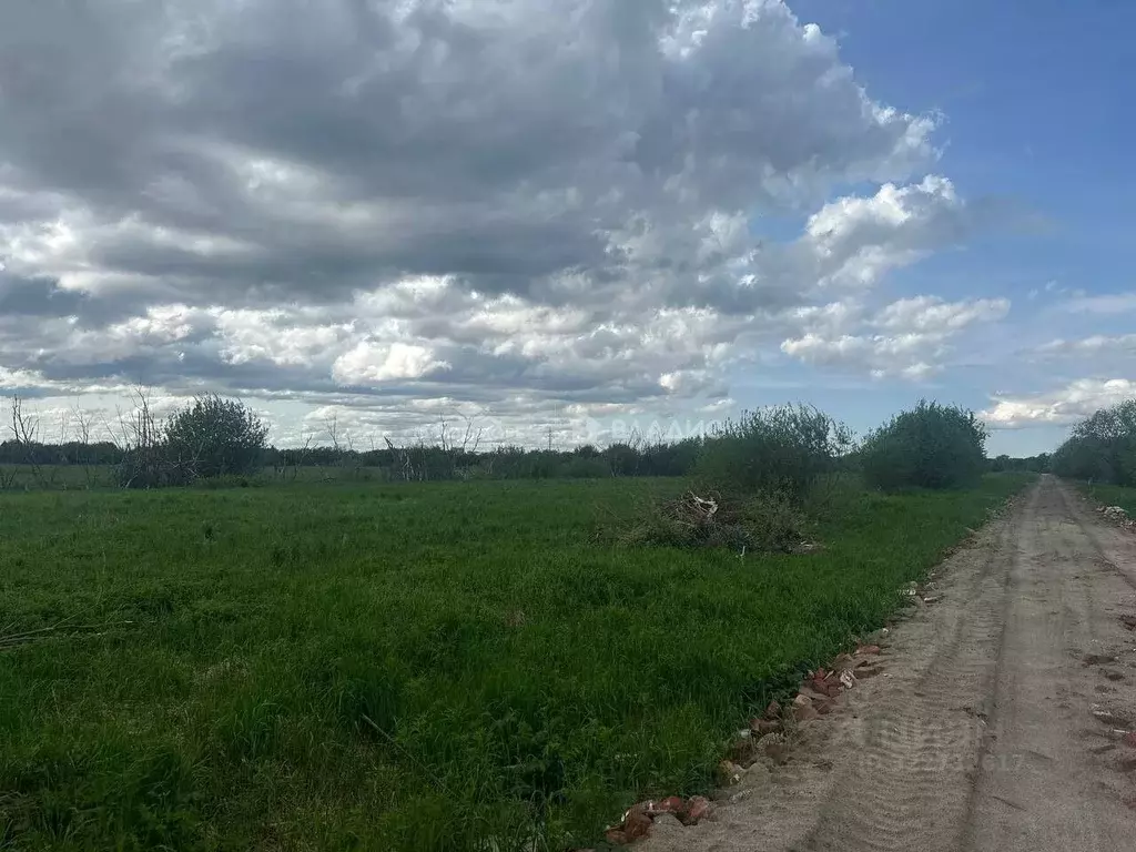 Участок в Архангельская область, Архангельск Малое Никольское ТСН,  ... - Фото 1