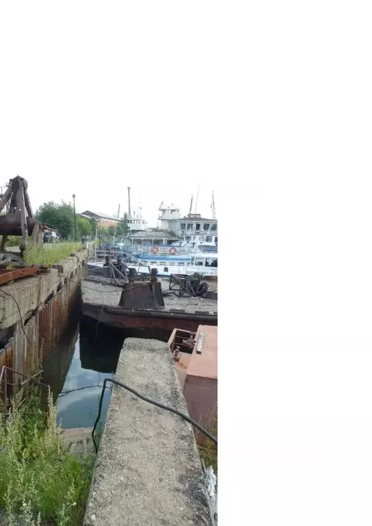 Помещение свободного назначения в Иркутская область, Иркутск ул. Ивана ... - Фото 1