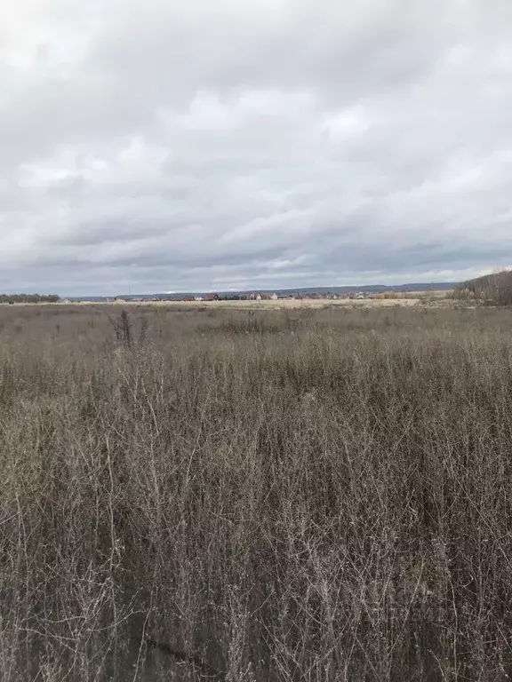 Участок в Московская область, Зарайск Зарайск муниципальный округ,  ... - Фото 1
