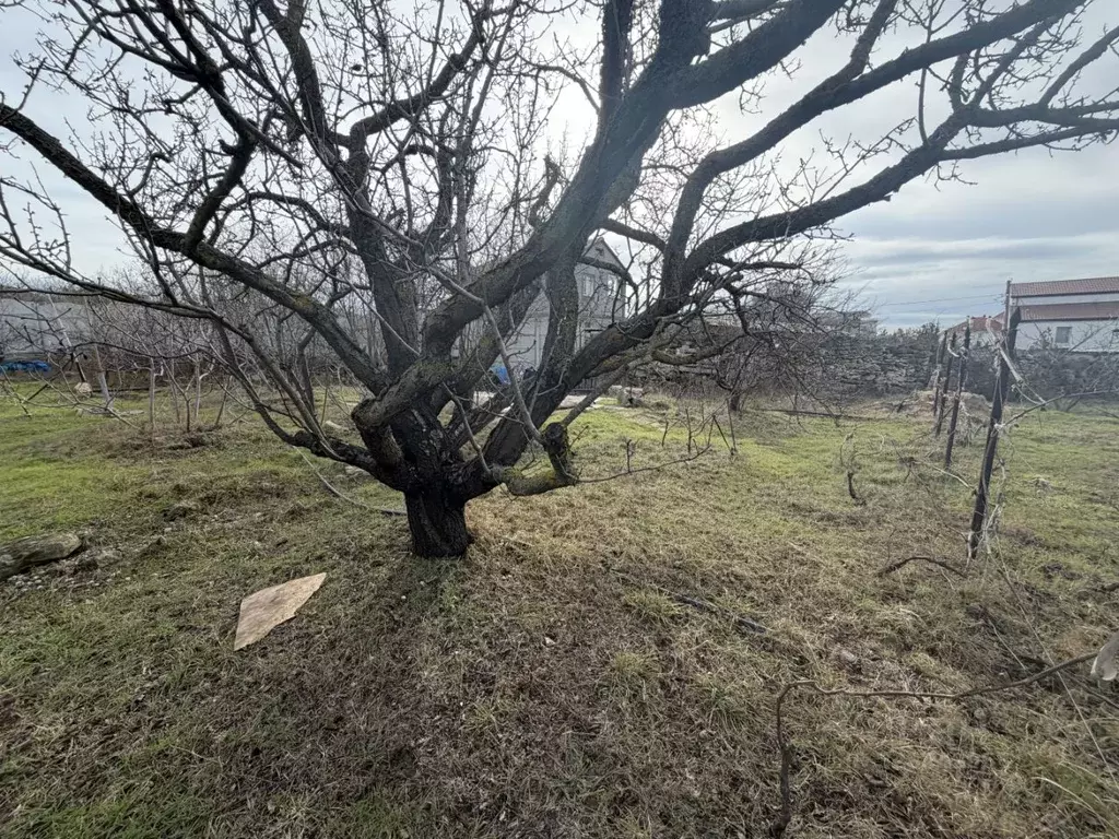 Участок в Севастополь Балаклавский муниципальный округ, Дельфин СТ,  ... - Фото 2