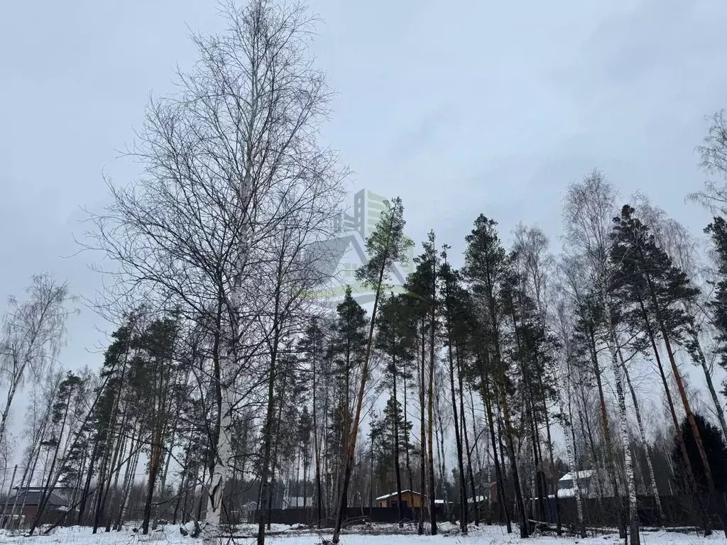 Участок в Московская область, Раменский городской округ, д. Фенино  ... - Фото 0