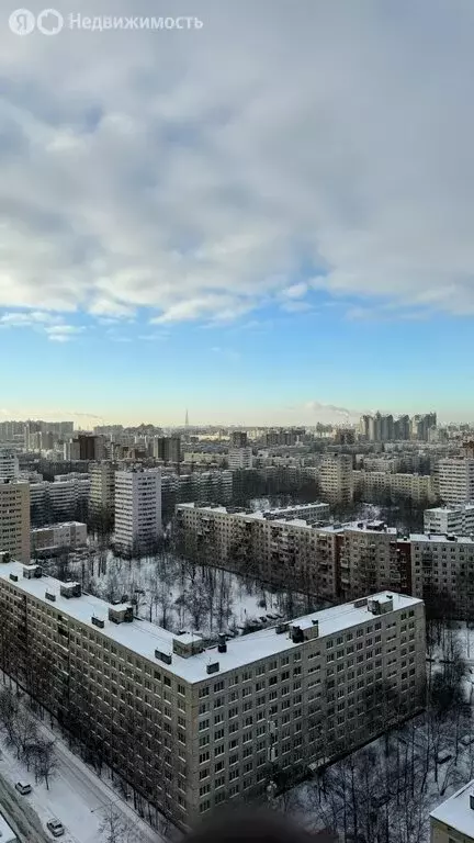 2-комнатная квартира: Санкт-Петербург, улица Кустодиева, 7к1 (82.7 м) - Фото 2