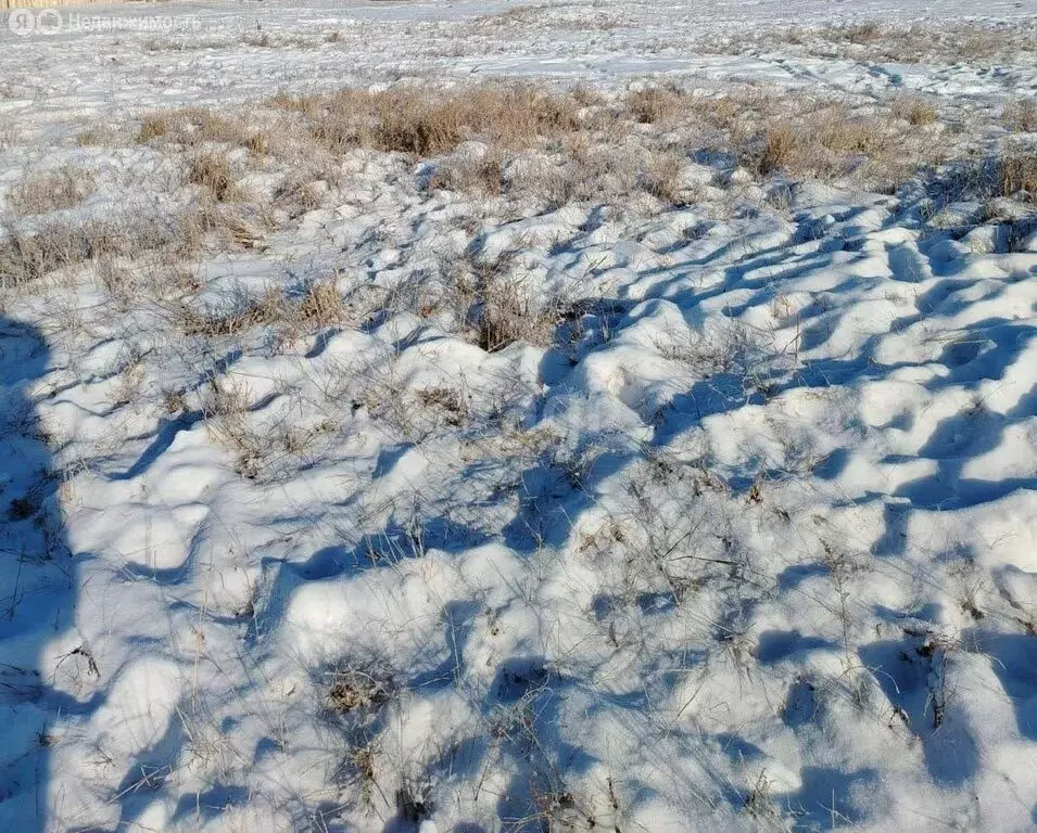 Участок в Забайкальский край, посёлок городского типа Чернышевск (15 ... - Фото 2