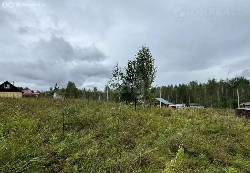 Участок в Новосибирск, Зеленодолинская улица (6 м) - Фото 2