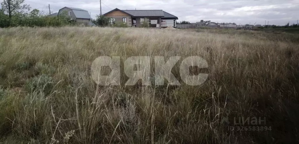 Участок в Волгоградская область, Городищенский район, Царицынское ... - Фото 2