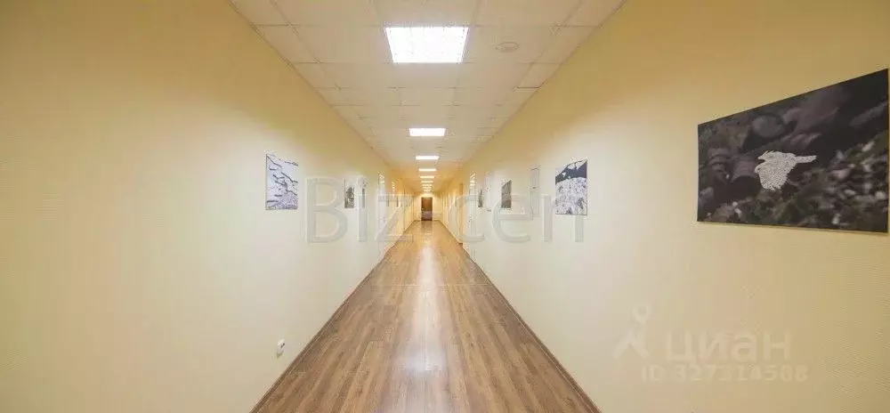 Офис в Санкт-Петербург Ленинский просп., 168 (123 м) - Фото 1