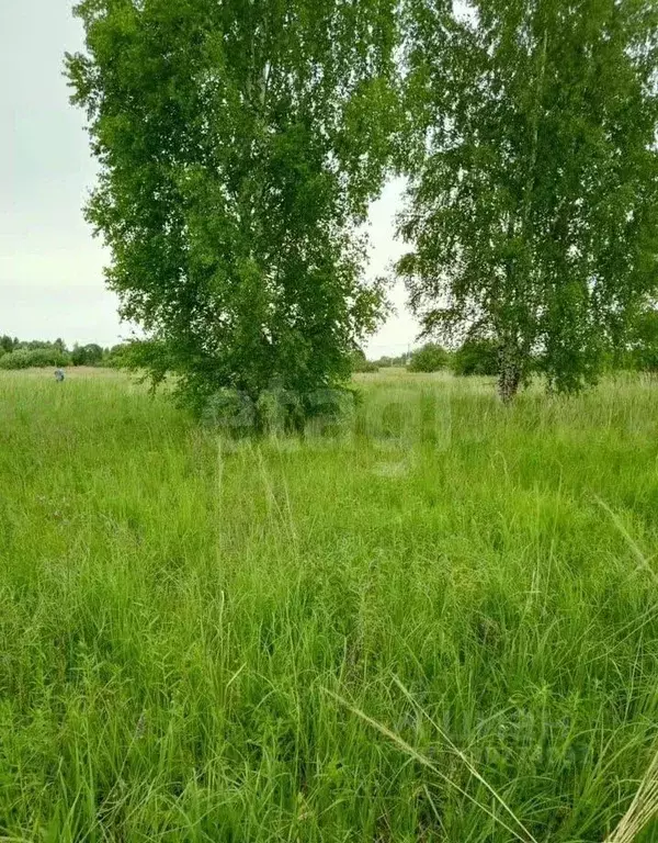 Участок в Костромская область, Кострома  (11.0 сот.) - Фото 1