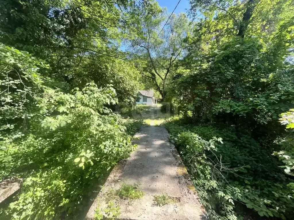 Участок в Краснодарский край, Геленджик городской округ, с. ... - Фото 2