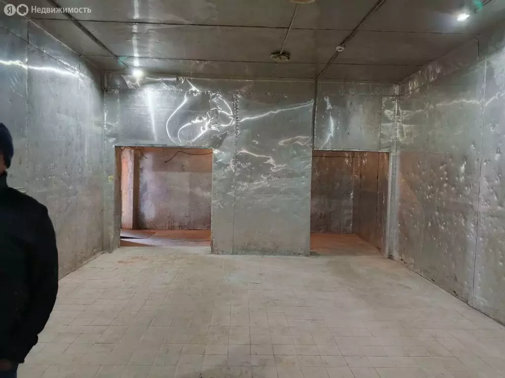 Помещение свободного назначения (110 м) - Фото 2