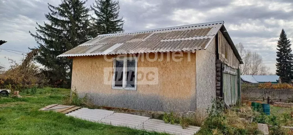 Участок в Алтайский край, Бийск пос. Сорокино, ул. Красносельская ... - Фото 1