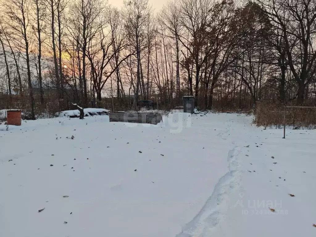 Участок в Хабаровский край, Хабаровск Березка СНТ, 130 (8.8 сот.) - Фото 1