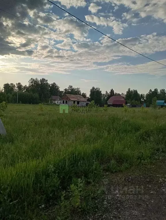 Участок в Алтайский край, Первомайский район, пос. Новый ул. Кольцова ... - Фото 1