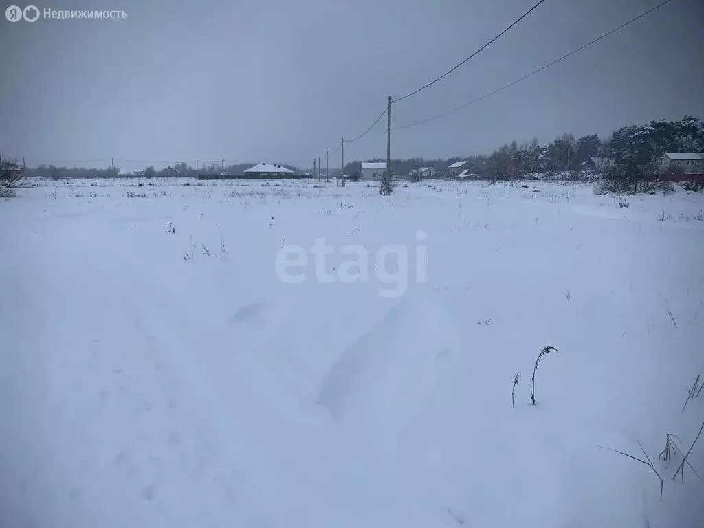 Участок в деревня Сетка, Зелёная улица (20.8 м) - Фото 2
