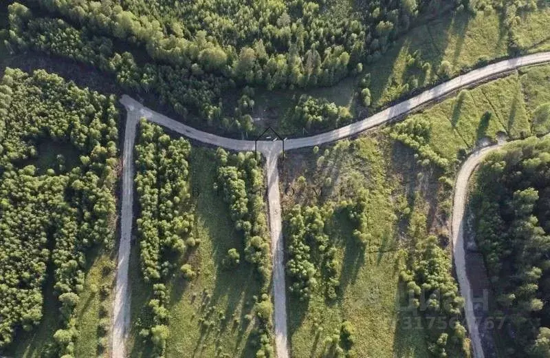 Участок в Ленинградская область, Приозерский район, Раздольевское ... - Фото 0