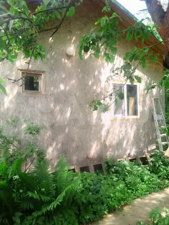 Дом 27,8 м на участке 24 сот. - Фото 1