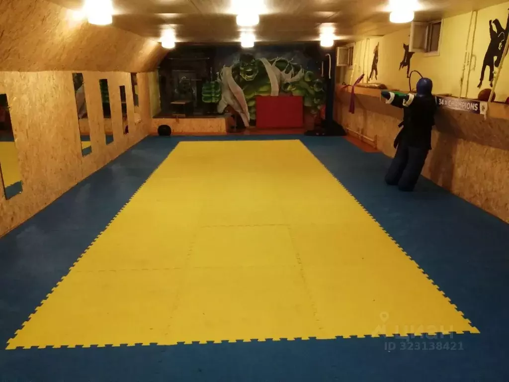 Помещение свободного назначения в Челябинская область, Аша ул. ... - Фото 1