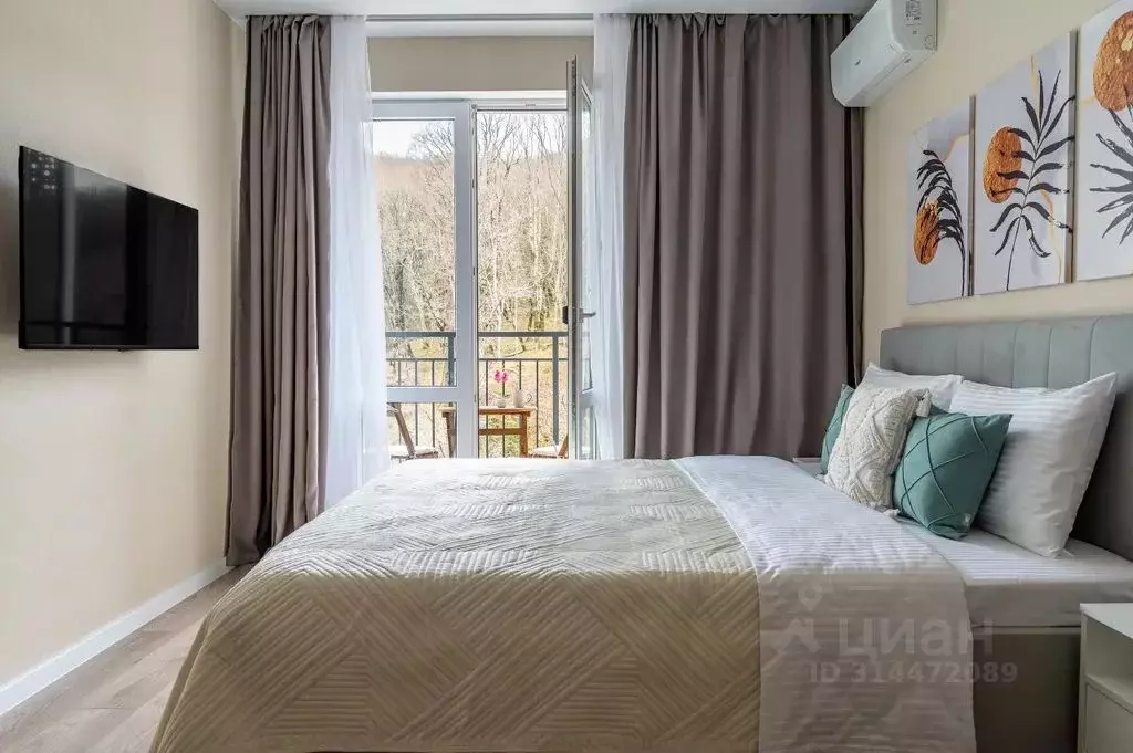 Студия Краснодарский край, Сочи ул. Искры, 88к3 (23.0 м) - Фото 1