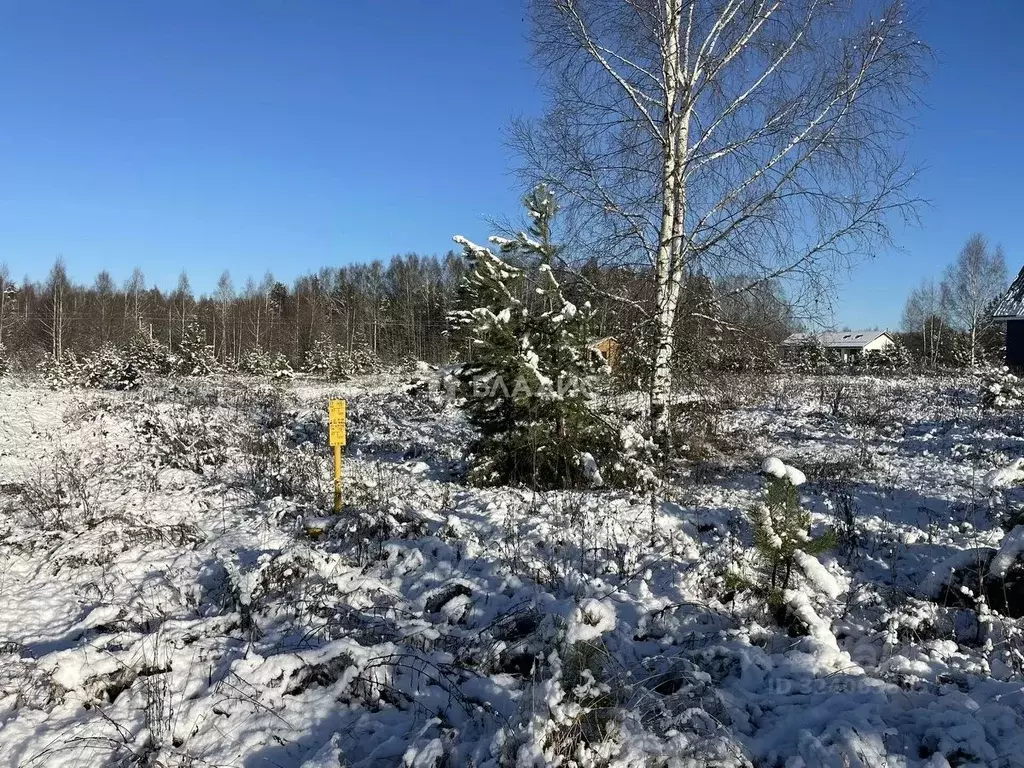 Участок в Ивановская область, Лежневское с/пос, Лежневская слобода ДНП ... - Фото 1