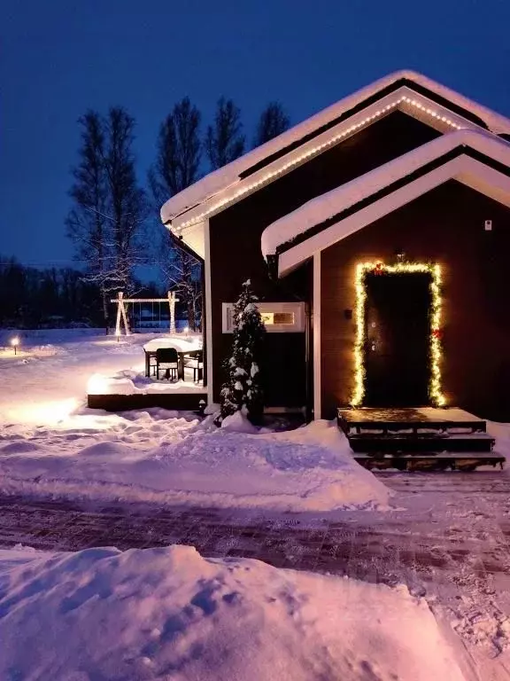 1-к кв. Псковская область, Пушкиногорье городское поселение, д. ... - Фото 1