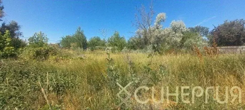 Участок в Ростовская область, Азовский район, Елизаветинское с/пос, ... - Фото 1