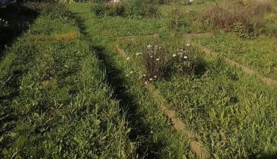 Участок в Новгородская область, Демянский муниципальный округ, д. ... - Фото 0