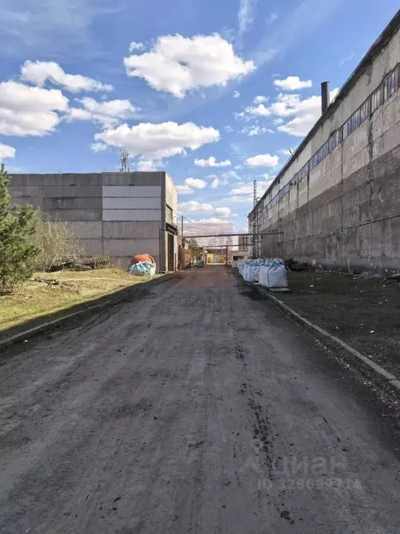 Производственное помещение в Свердловская область, Екатеринбург ул. 8 ... - Фото 2