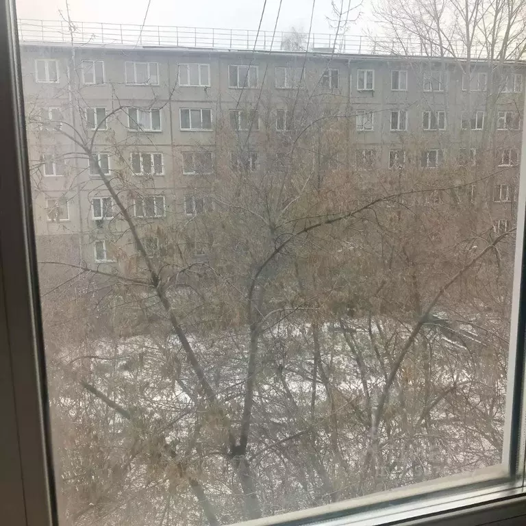 Студия Красноярский край, Красноярск Спортивная ул., 180 (18.0 м) - Фото 2