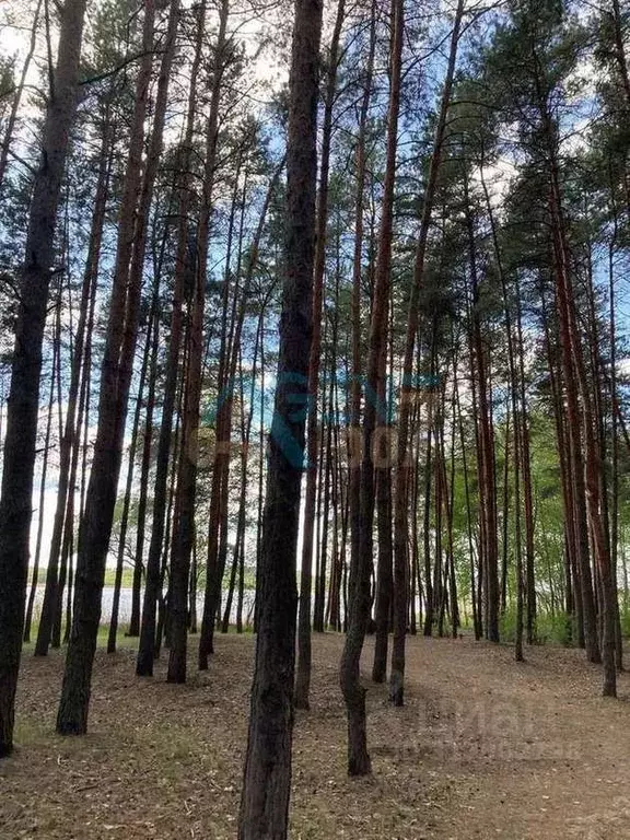 Коттедж в Белгородская область, Шебекинский муниципальный округ, ... - Фото 1