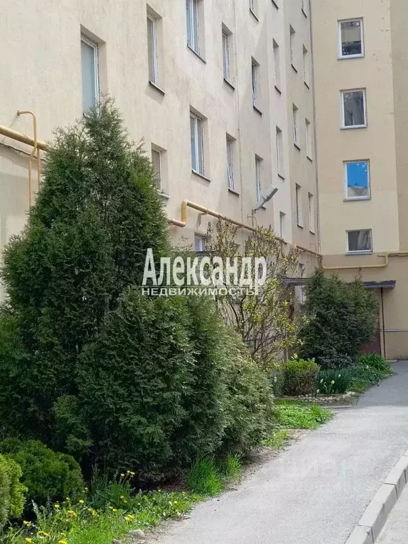 1-к кв. Санкт-Петербург пос. Шушары, Московское ш., 145с10 (30.0 м) - Фото 1