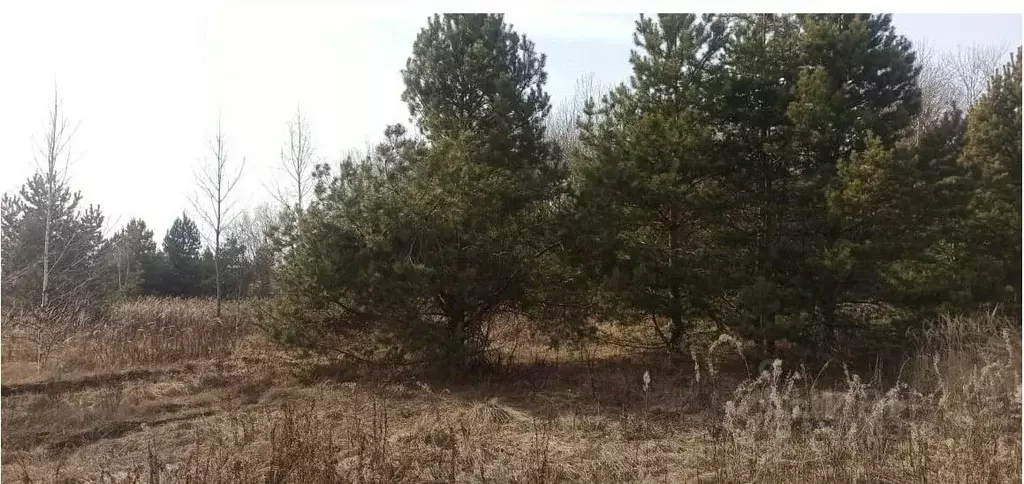 Участок в Московская область, Шатура муниципальный округ, д. ... - Фото 0