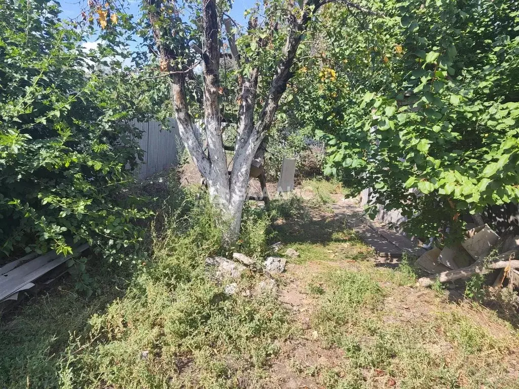 Участок в Волгоградская область, Краснослободск Среднеахтубинский ... - Фото 2