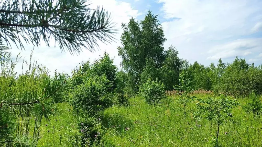 Участок в Псковская область, Гдовский муниципальный округ, д. ... - Фото 2