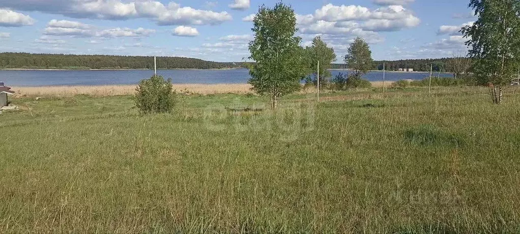 Участок в Тверская область, Осташковский муниципальный округ, пос. ... - Фото 2