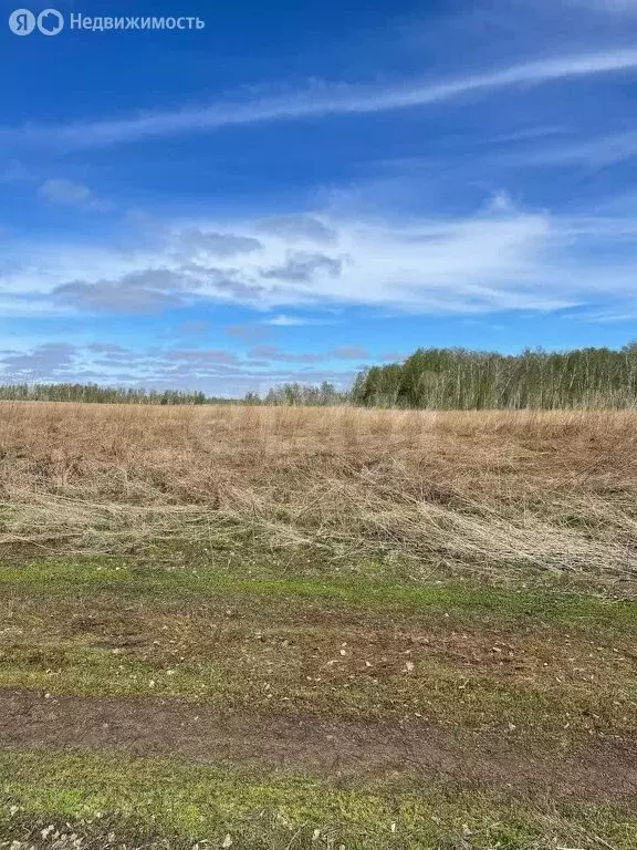 Участок в Увельский округ, село Рождественка (25 м) - Фото 1