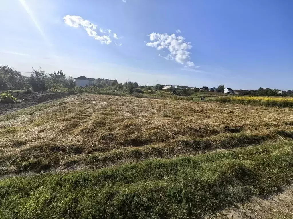 Участок в Брянская область, Брянский район, Добрунское с/пос, д. ... - Фото 1