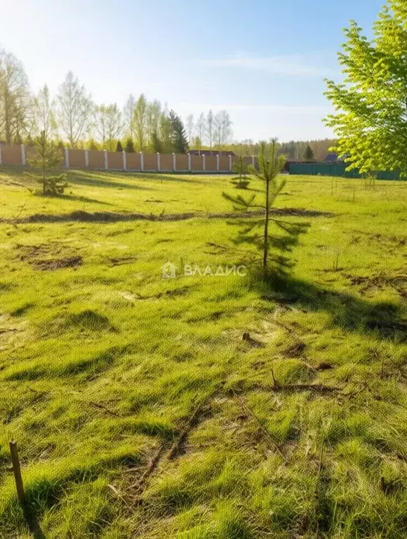 Участок в Владимирская область, Ковровский муниципальный округ, д. ... - Фото 2