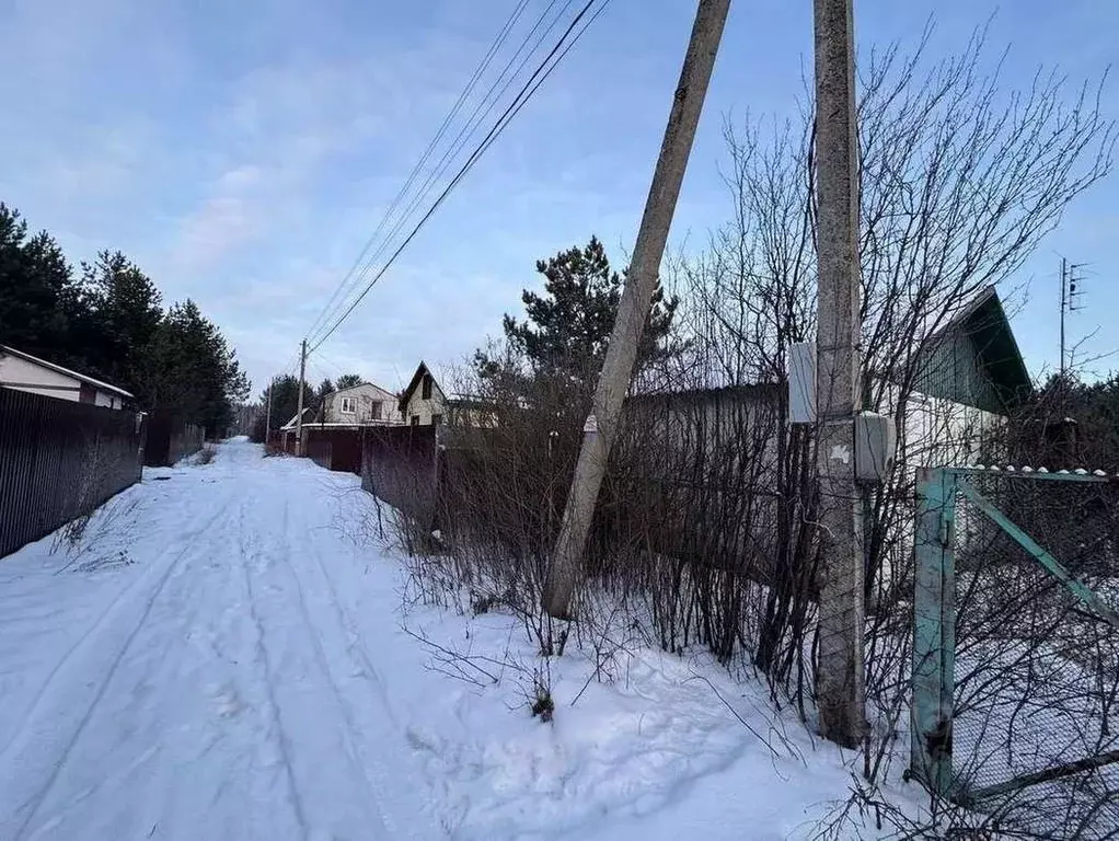 Участок в Воронежская область, Рамонский район, Новоживотинновское ... - Фото 1