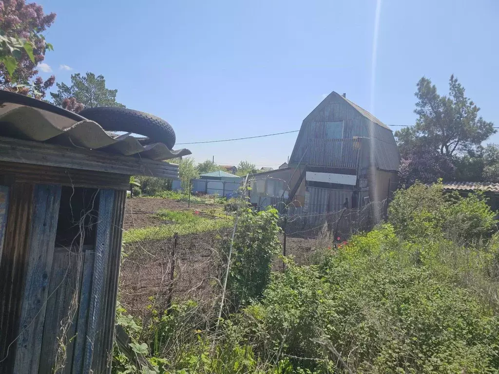 Участок в Оренбургская область, Оренбургский район, ... - Фото 1