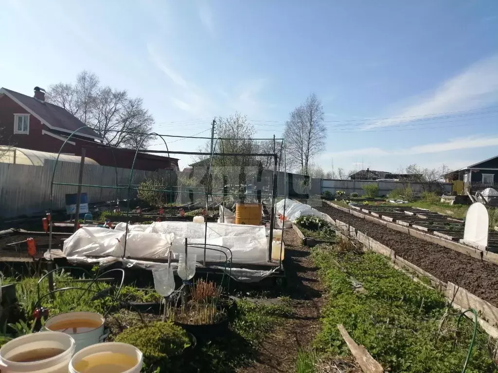 Участок в Вологодская область, Сокол ул. 6-я Глушицкая (4.0 сот.) - Фото 2