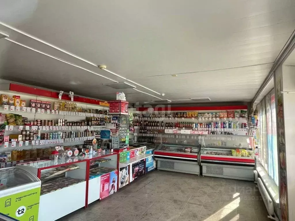 Торговая площадь в Челябинская область, Пласт ул. Вагина, 63 (189 м) - Фото 1