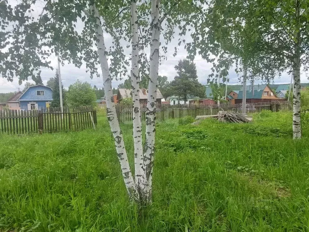 Участок в Кемеровская область, Новокузнецкий муниципальный округ, ... - Фото 1