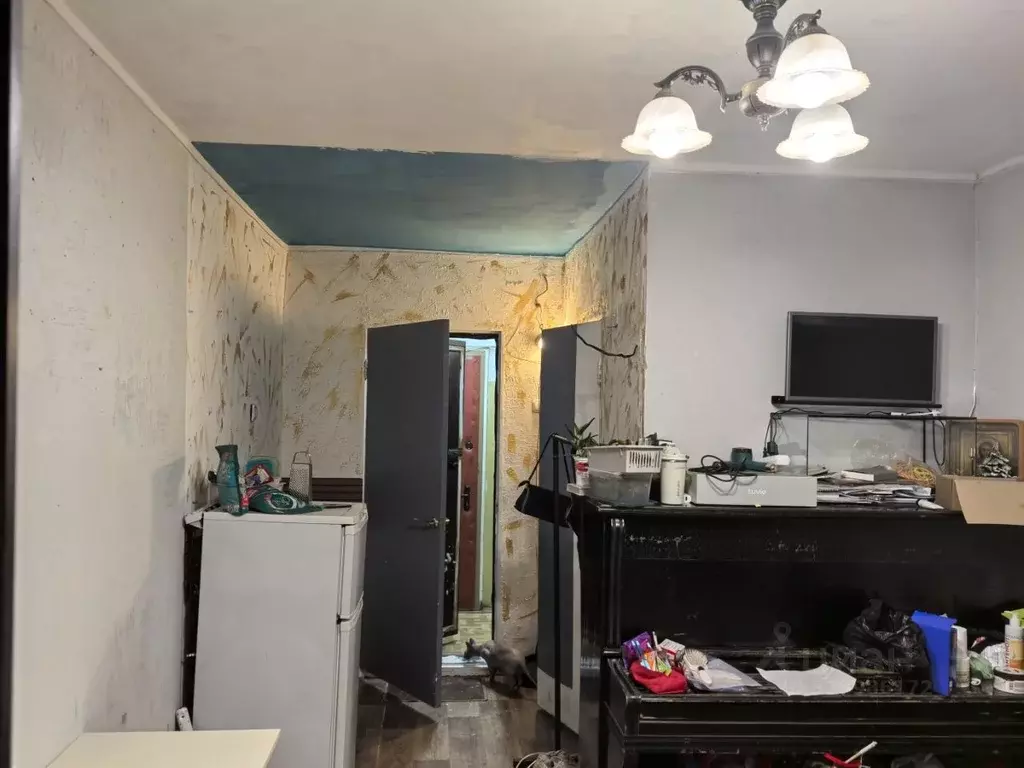 Студия Тверская область, Тверь пос. Химинститута, 46 (16.5 м) - Фото 2