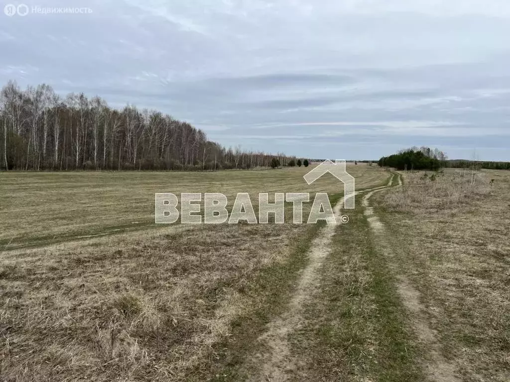 Участок в Тюменский район, деревня Речкина (11 м) - Фото 0