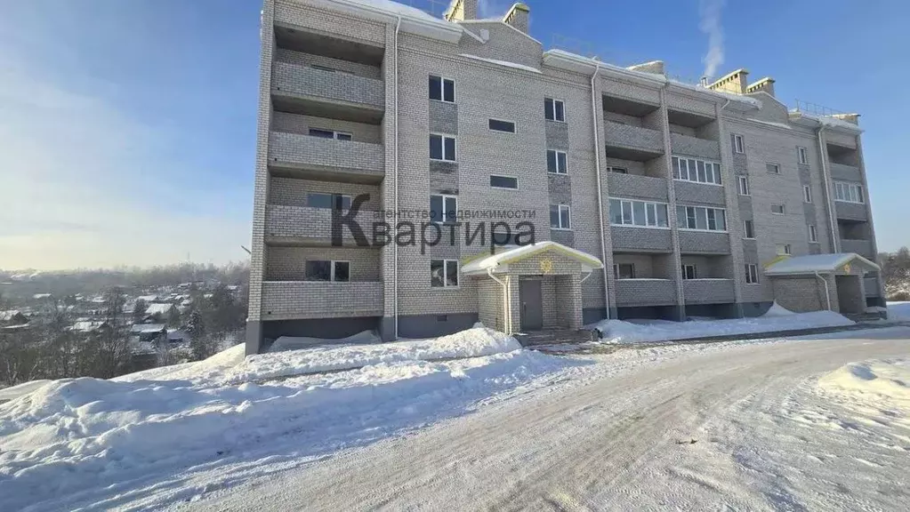 2-к кв. Смоленская область, Смоленский муниципальный округ, д. ... - Фото 2